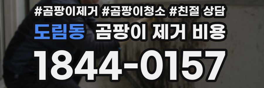 도림동 곰팡이 제거 비용