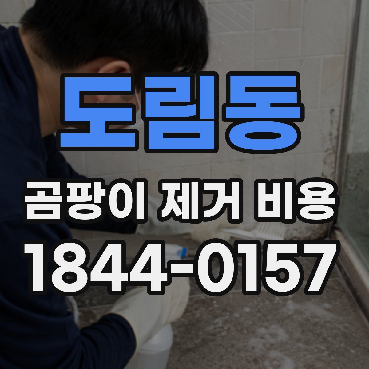 도림동 곰팡이 제거 비용