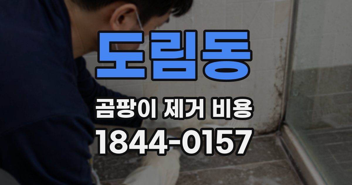 도림동 곰팡이 제거 비용