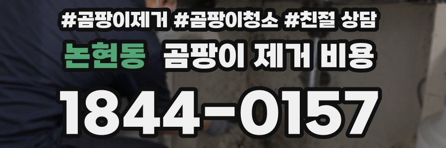 논현동 곰팡이 제거 비용