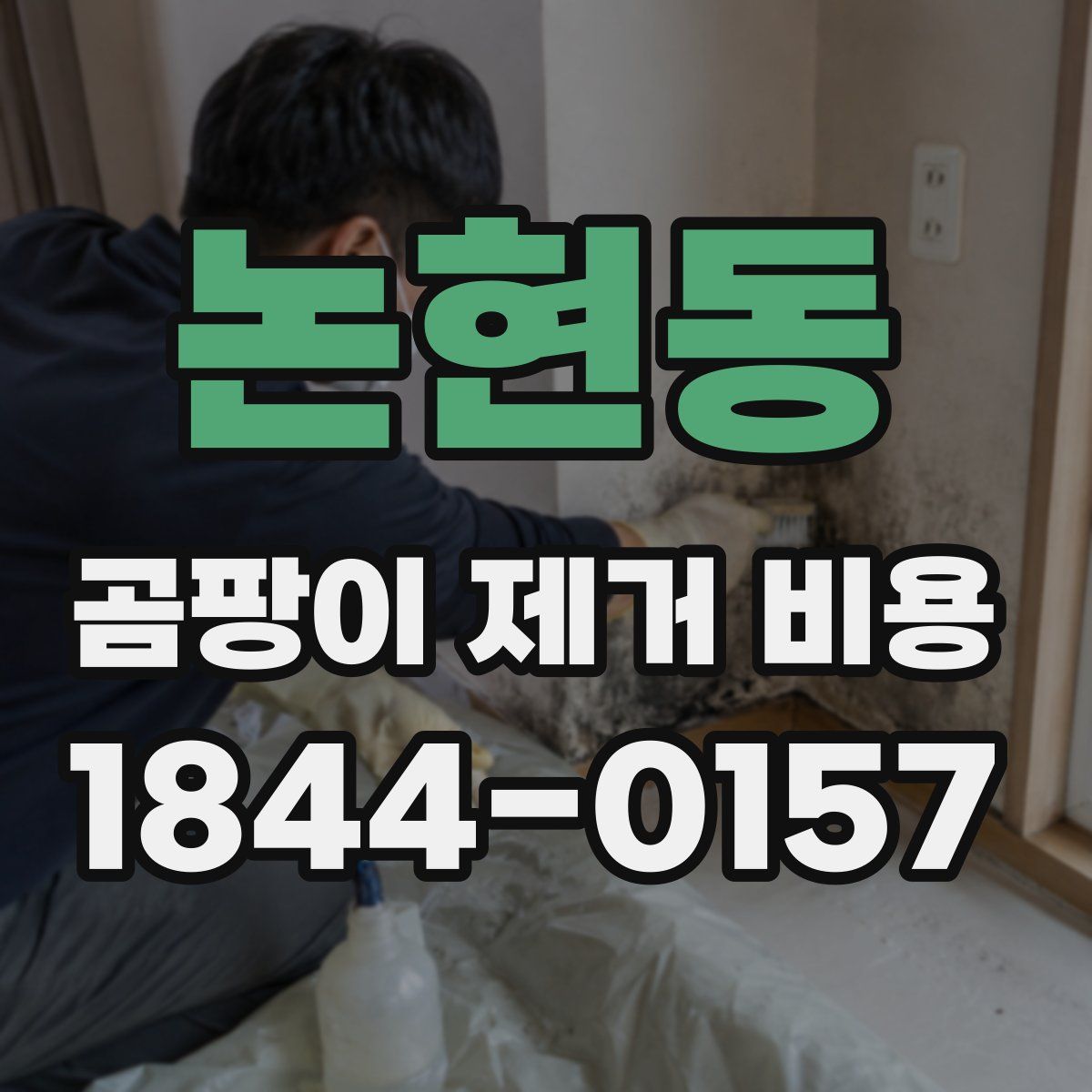 논현동 곰팡이 제거 비용
