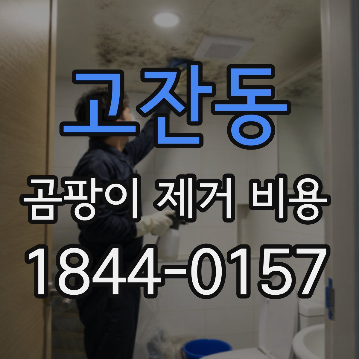 고잔동 곰팡이 제거 비용
