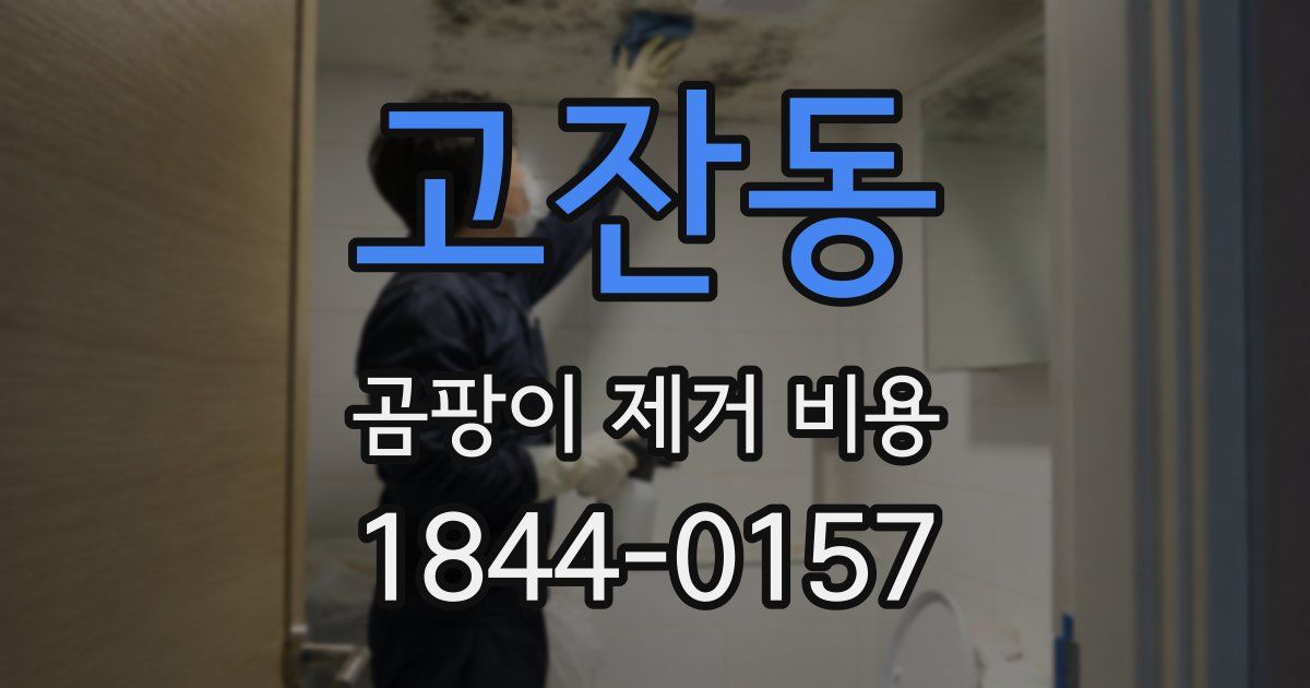 고잔동 곰팡이 제거 비용