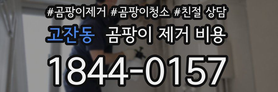 고잔동 곰팡이 제거 비용