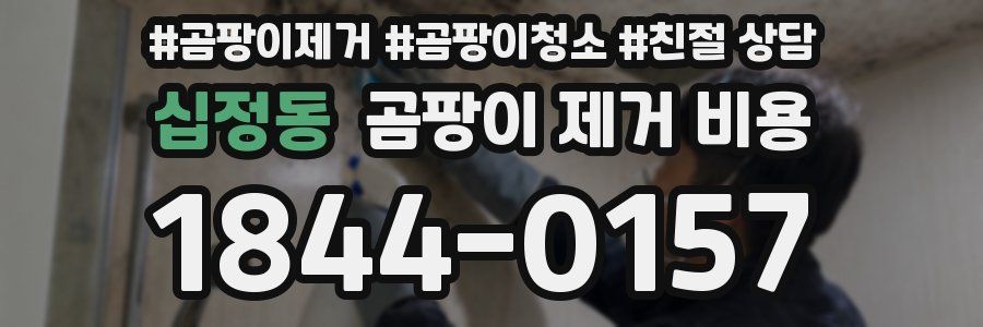 십정동 곰팡이 제거 비용