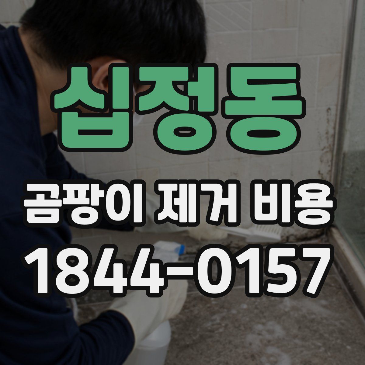 십정동 곰팡이 제거 비용