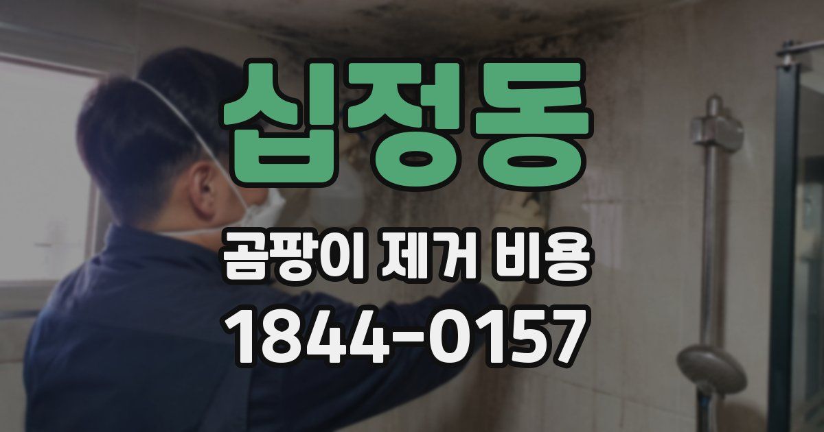 십정동 곰팡이 제거 비용