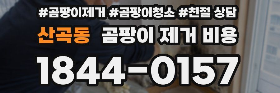 산곡동 곰팡이 제거 비용