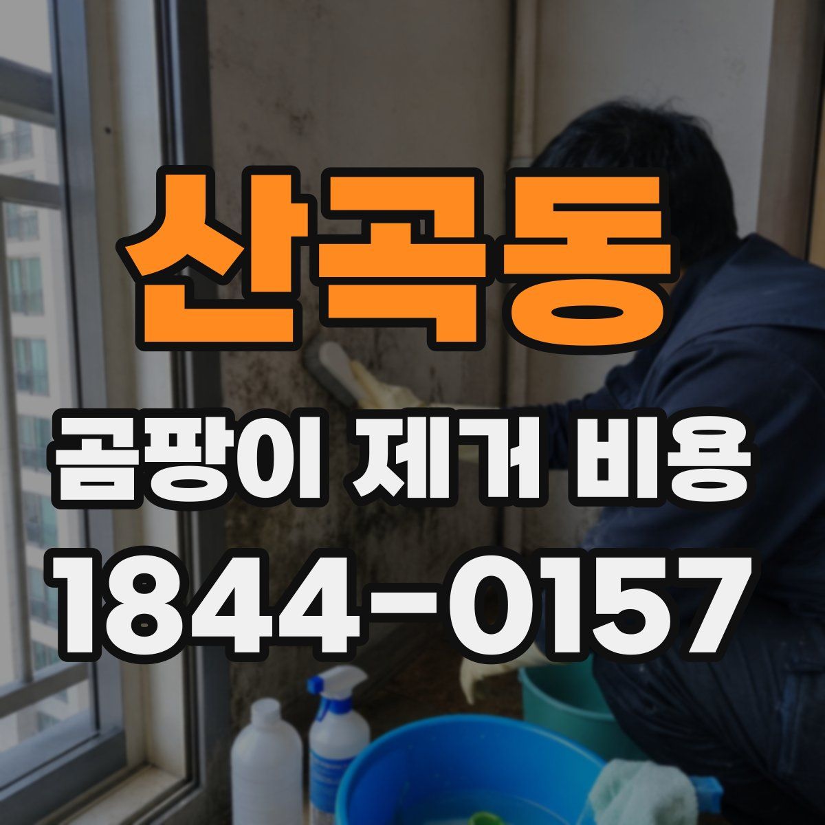 산곡동 곰팡이 제거 비용