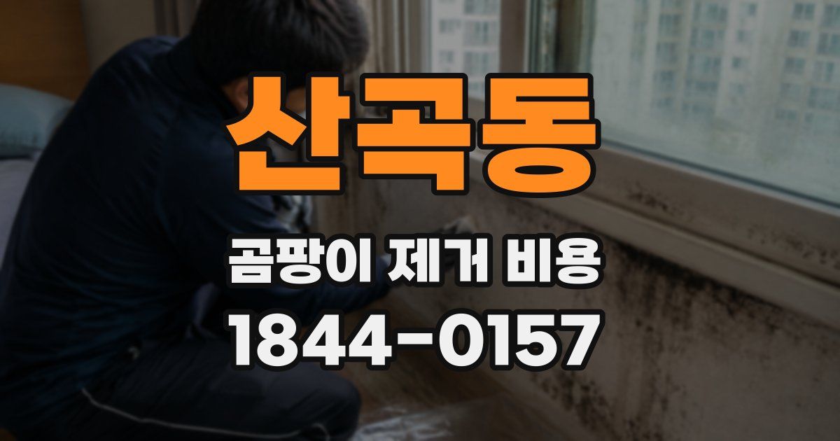 산곡동 곰팡이 제거 비용