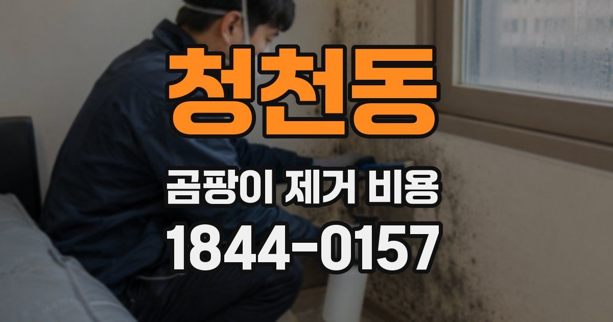 청천동 곰팡이 제거 비용