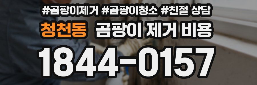 청천동 곰팡이 제거 비용