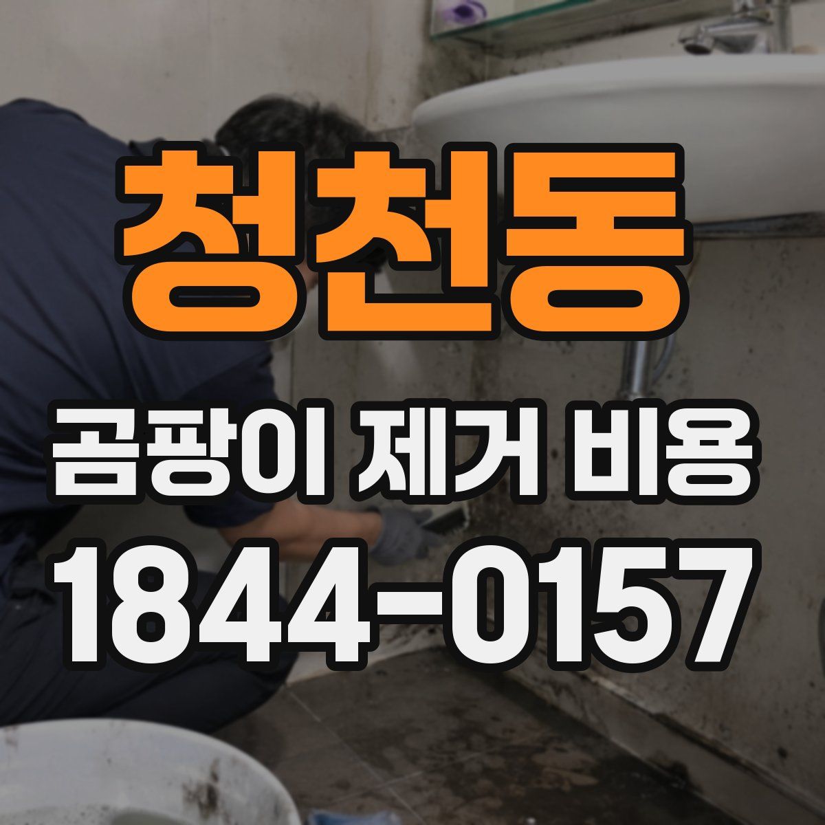 청천동 곰팡이 제거 비용