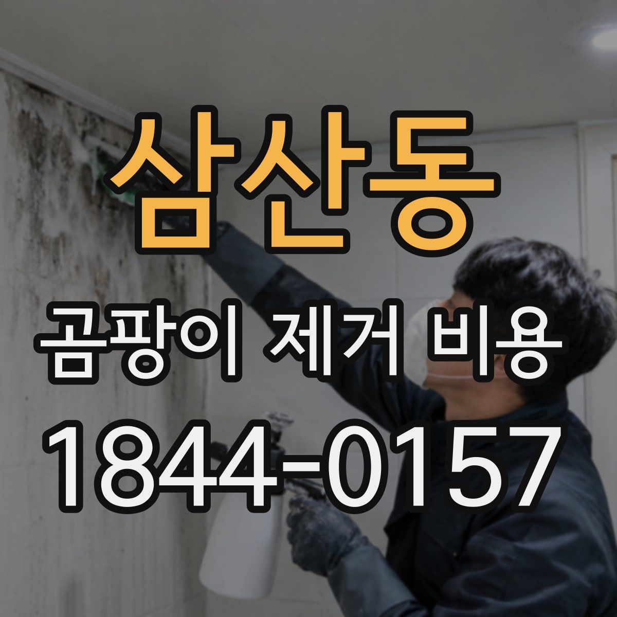 삼산동 곰팡이 제거 비용
