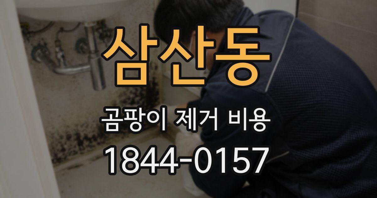 삼산동 곰팡이 제거 비용