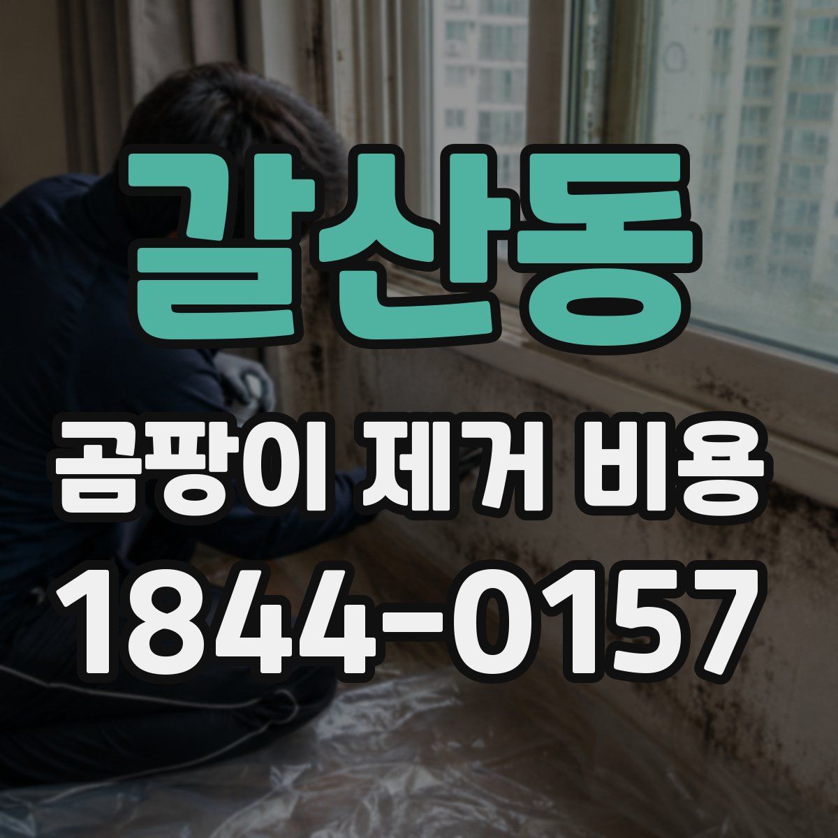 갈산동 곰팡이 제거 비용
