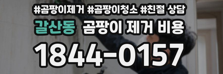 갈산동 곰팡이 제거 비용