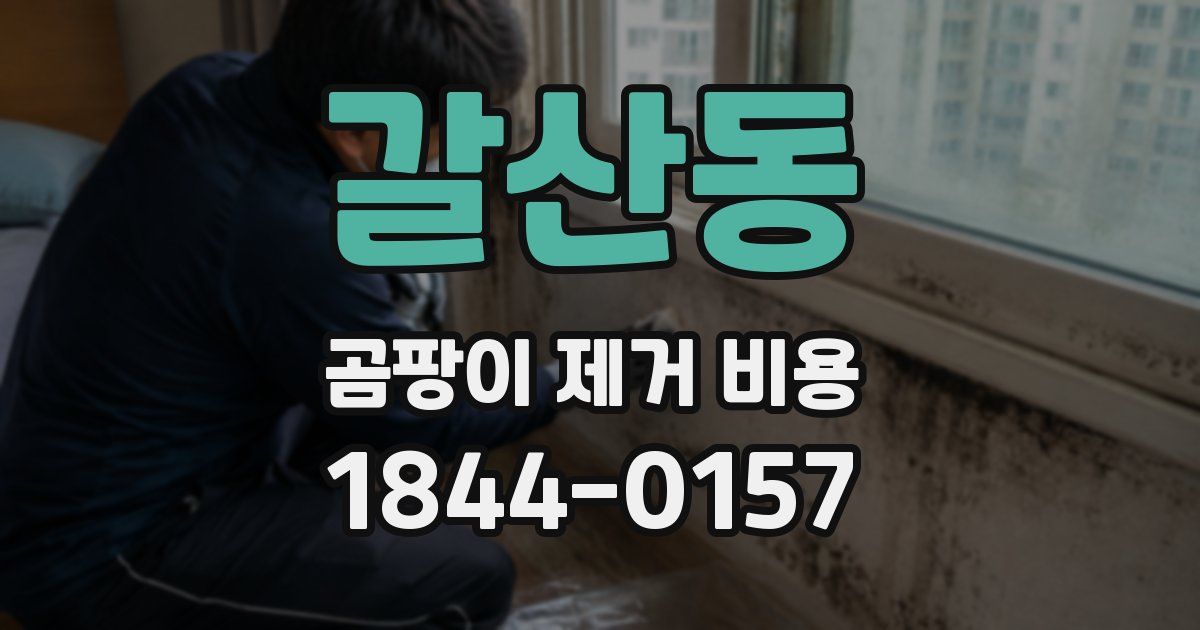 갈산동 곰팡이 제거 비용