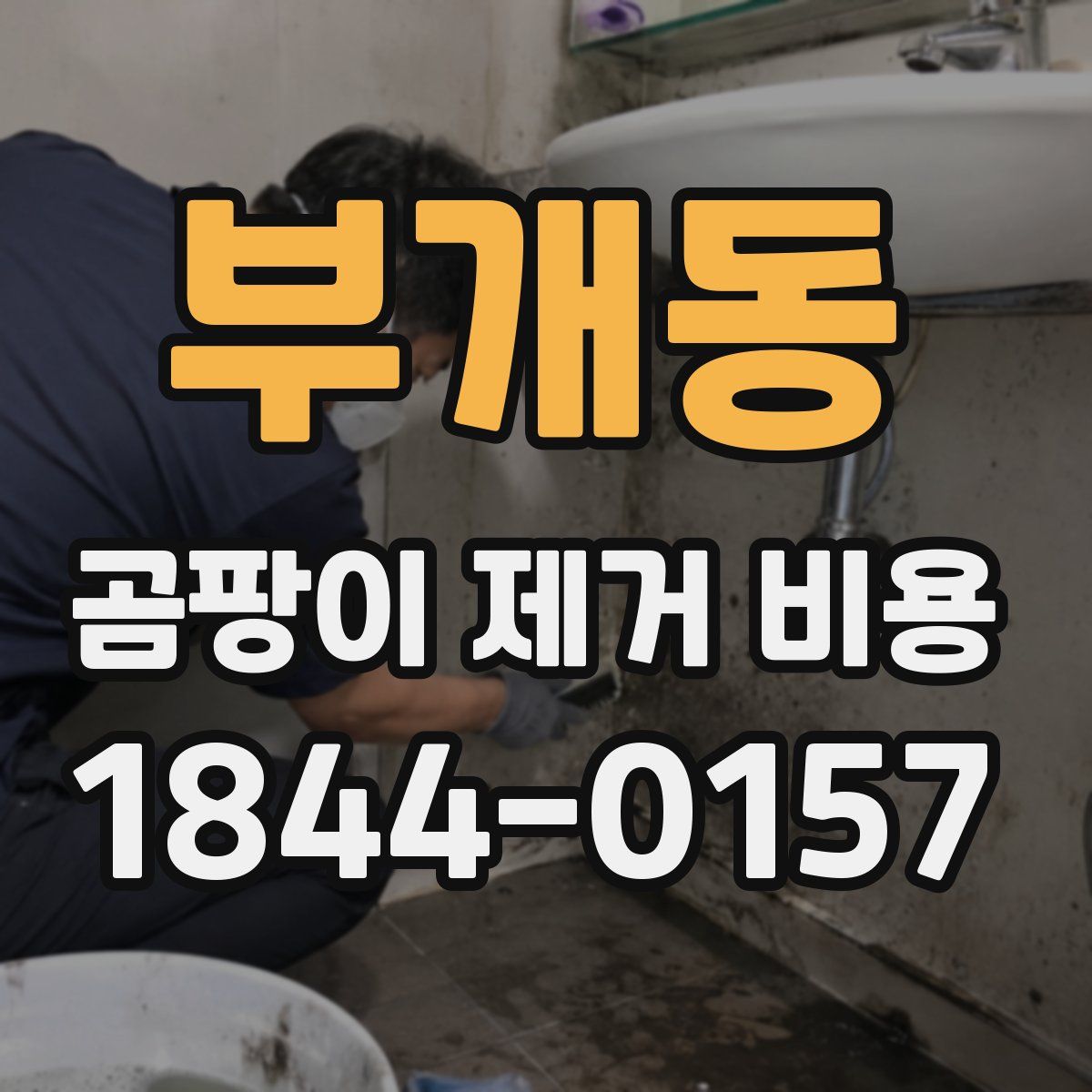 부개동 곰팡이 제거 비용