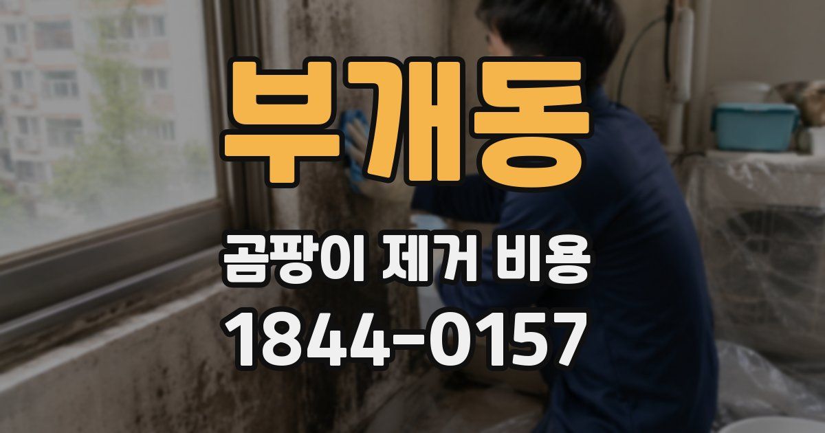 부개동 곰팡이 제거 비용