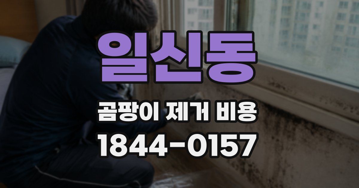 일신동 곰팡이 제거 비용