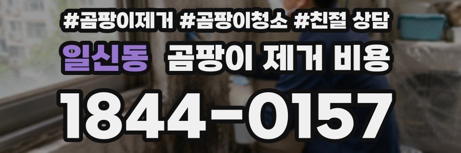 일신동 곰팡이 제거 비용