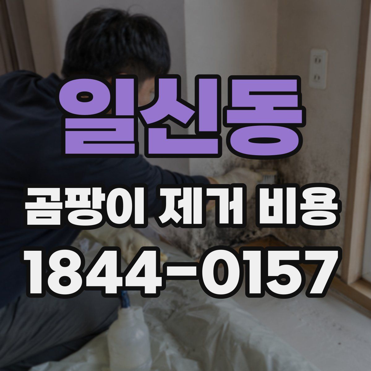 일신동 곰팡이 제거 비용