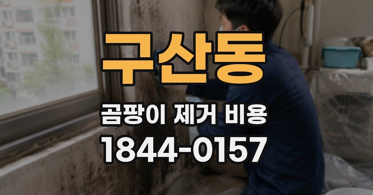 구산동 곰팡이 제거 비용