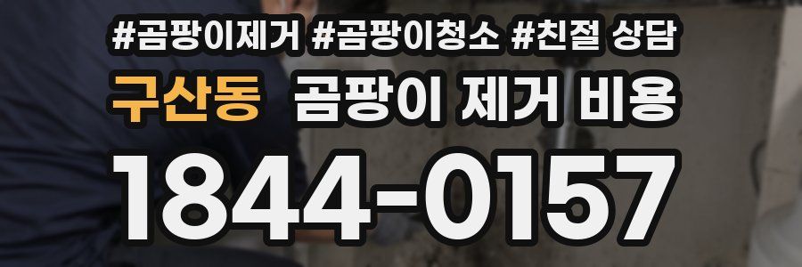 구산동 곰팡이 제거 비용