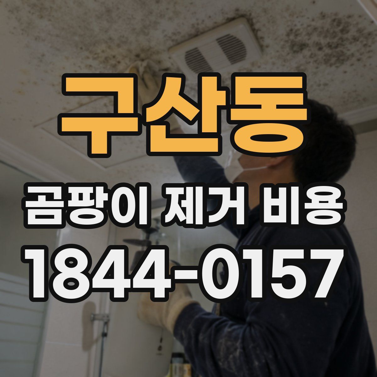 구산동 곰팡이 제거 비용
