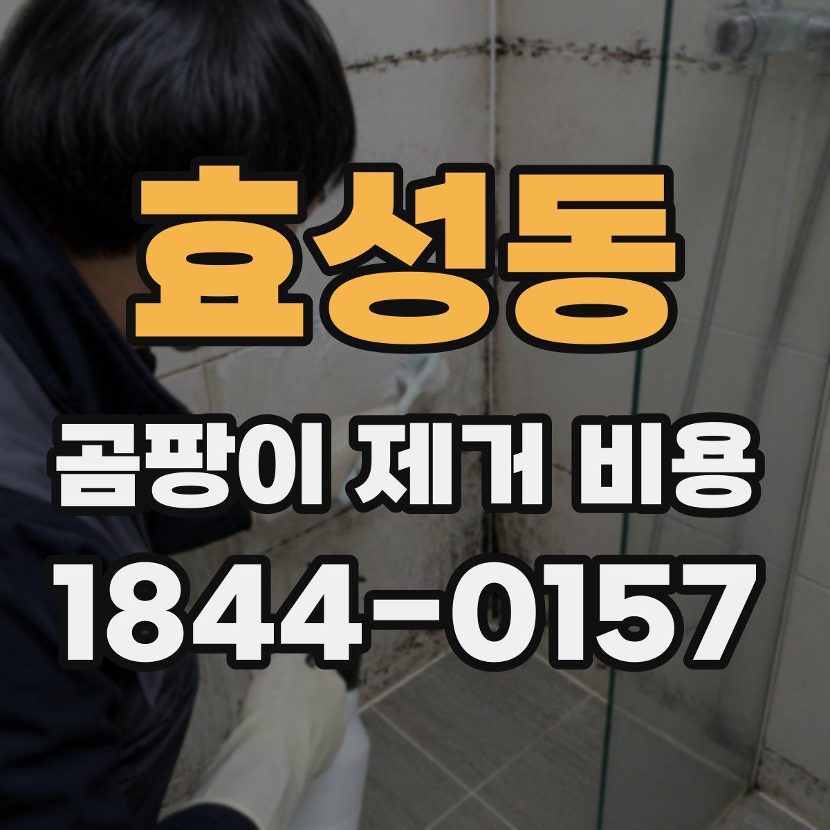 효성동 곰팡이 제거 비용