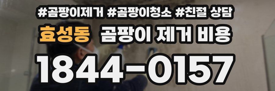 효성동 곰팡이 제거 비용