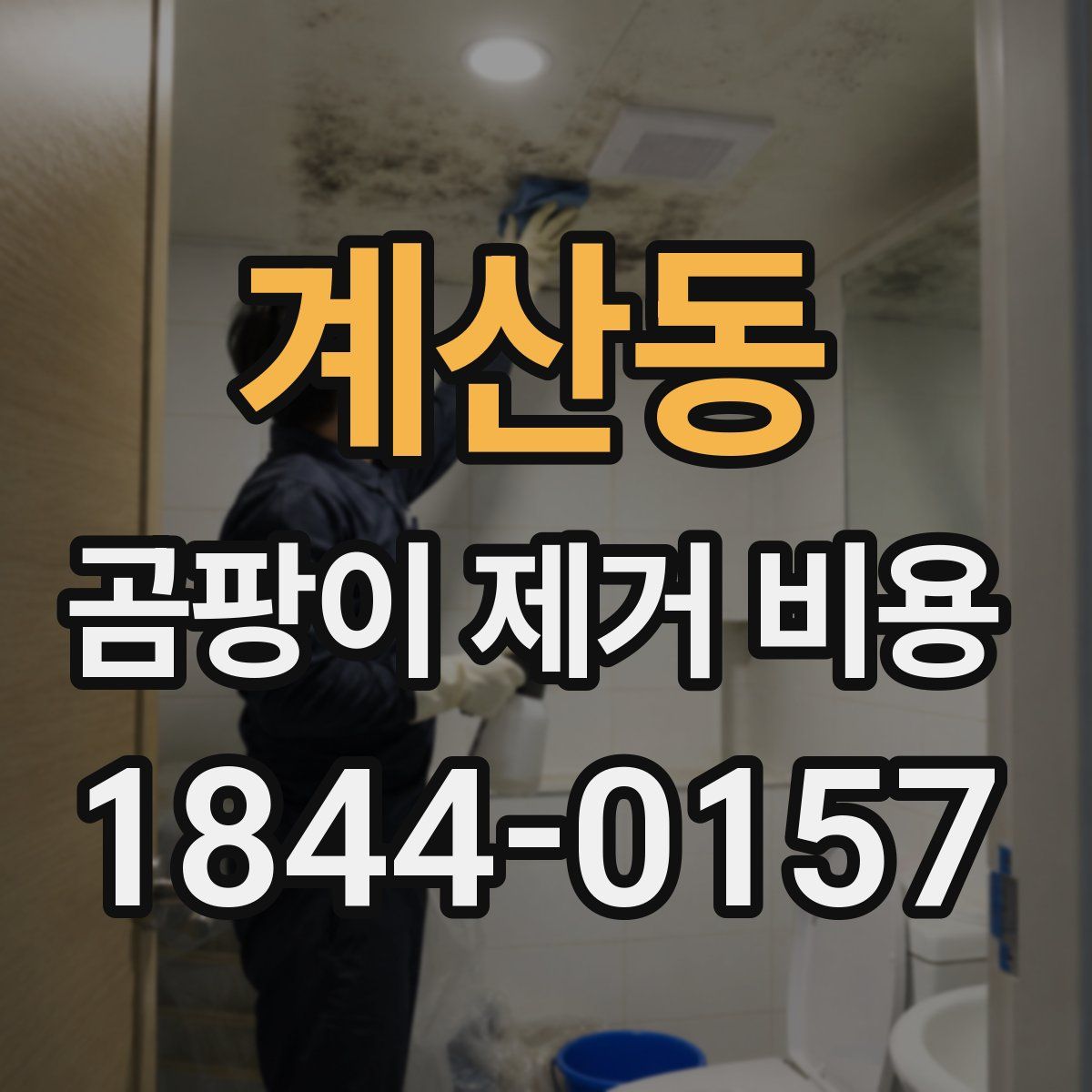 계산동 곰팡이 제거 비용