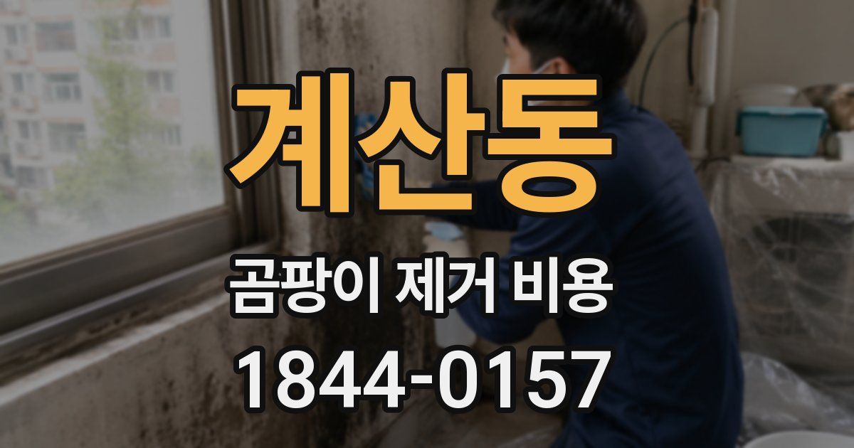 계산동 곰팡이 제거 비용