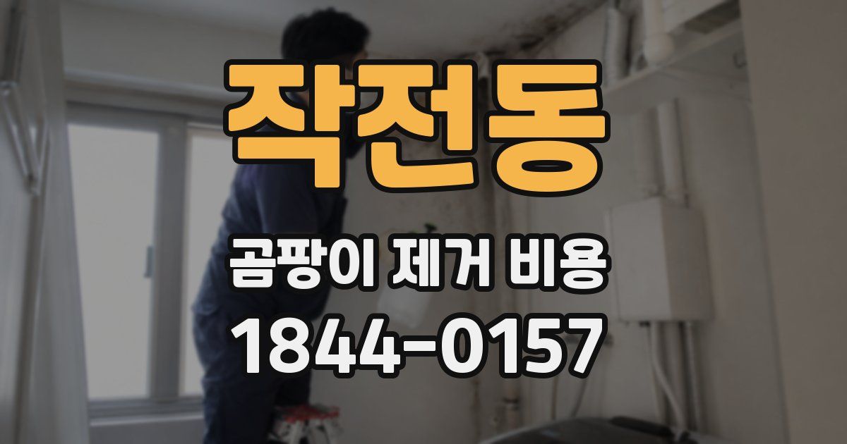 작전동 곰팡이 제거 비용