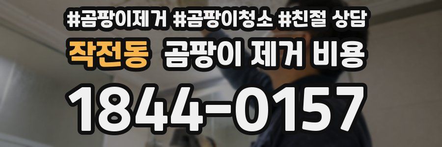 작전동 곰팡이 제거 비용