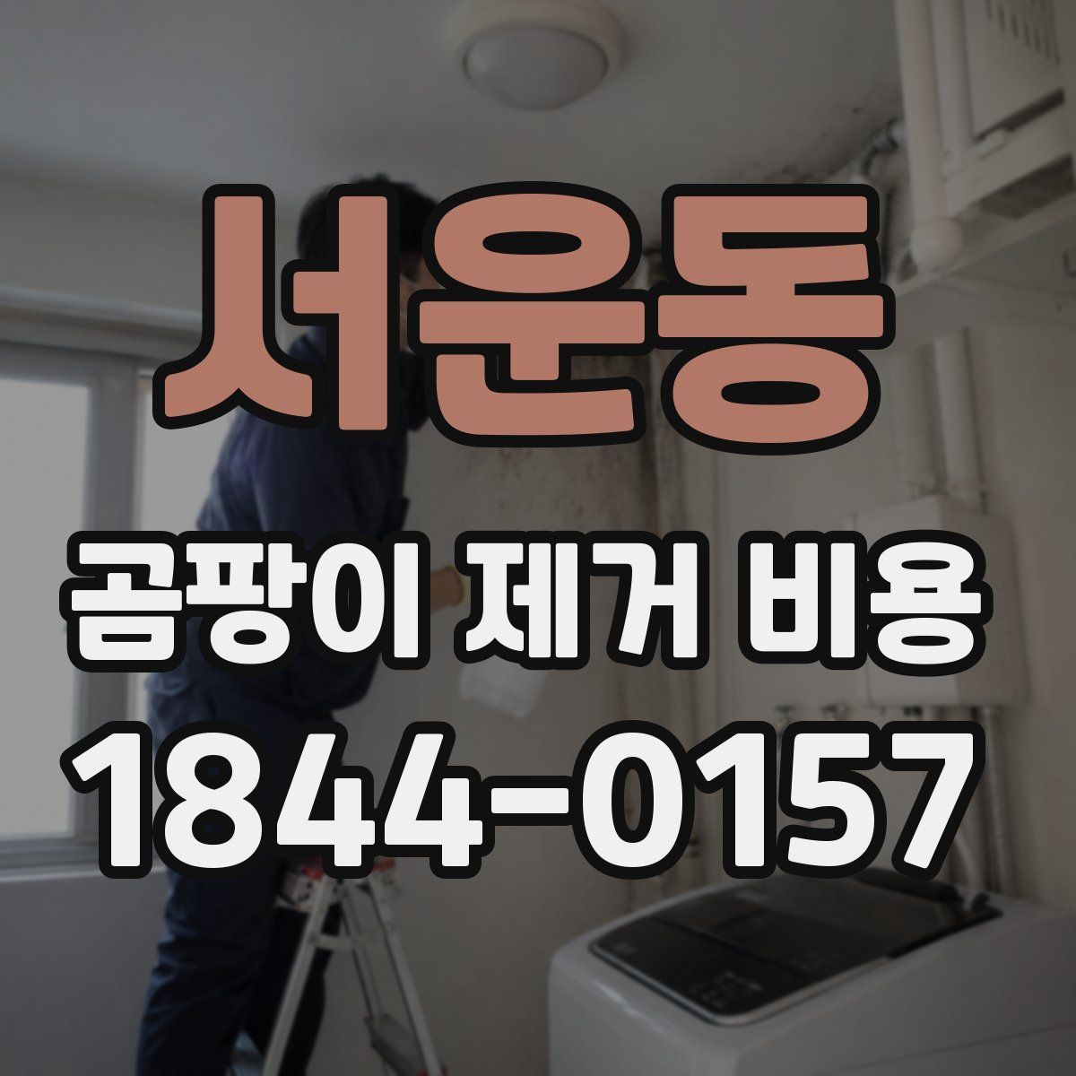 서운동 곰팡이 제거 비용