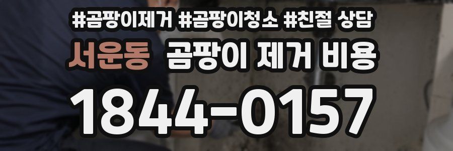 서운동 곰팡이 제거 비용
