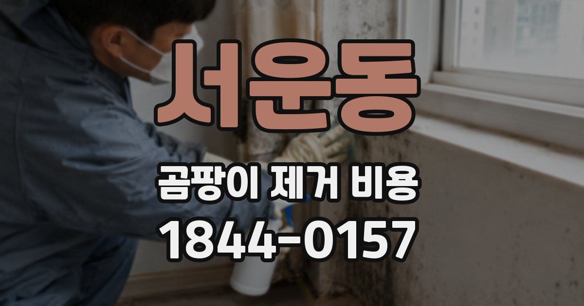 서운동 곰팡이 제거 비용