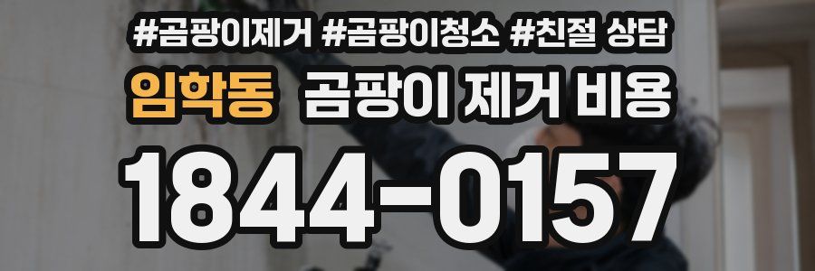 임학동 곰팡이 제거 비용