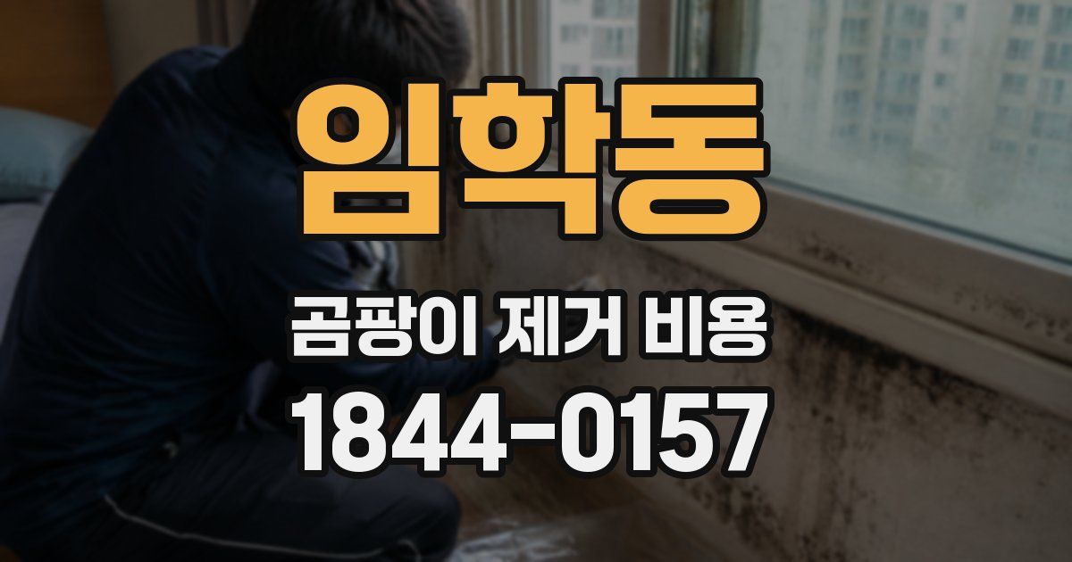 임학동 곰팡이 제거 비용