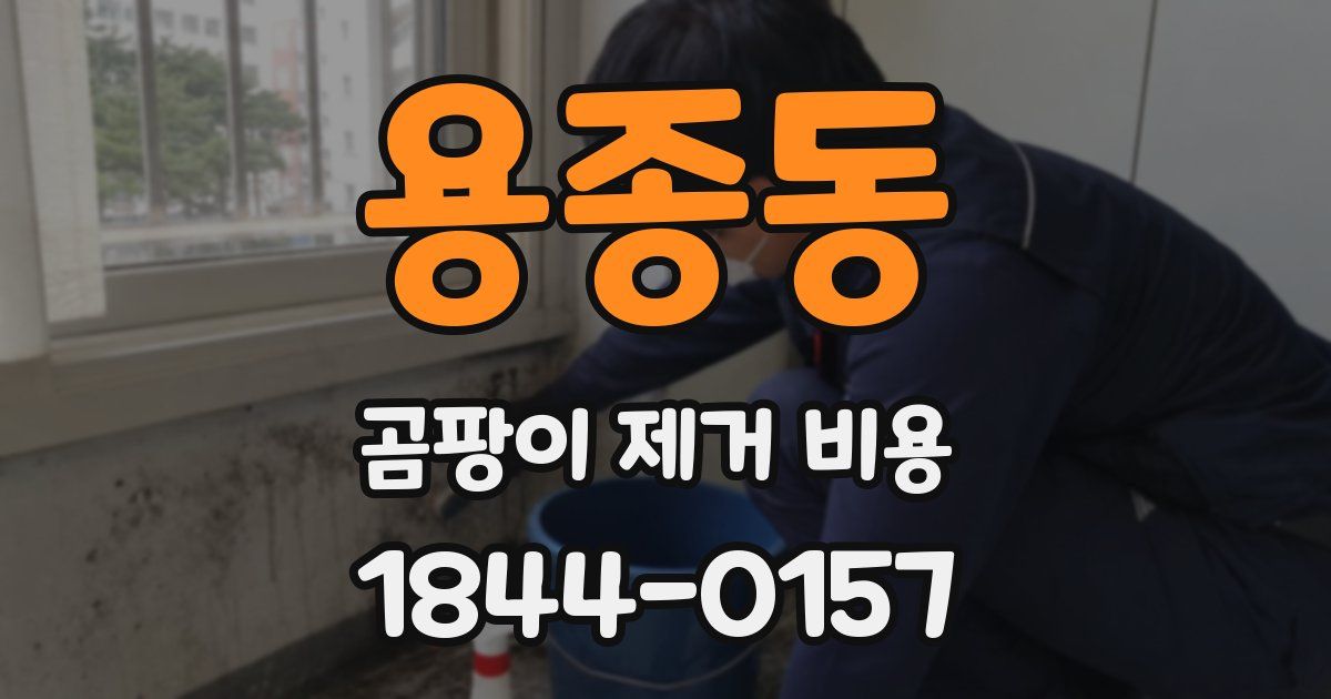 용종동 곰팡이 제거 비용