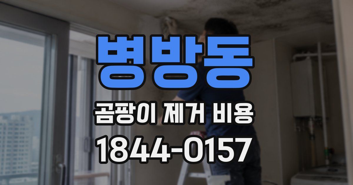 병방동 곰팡이 제거 비용