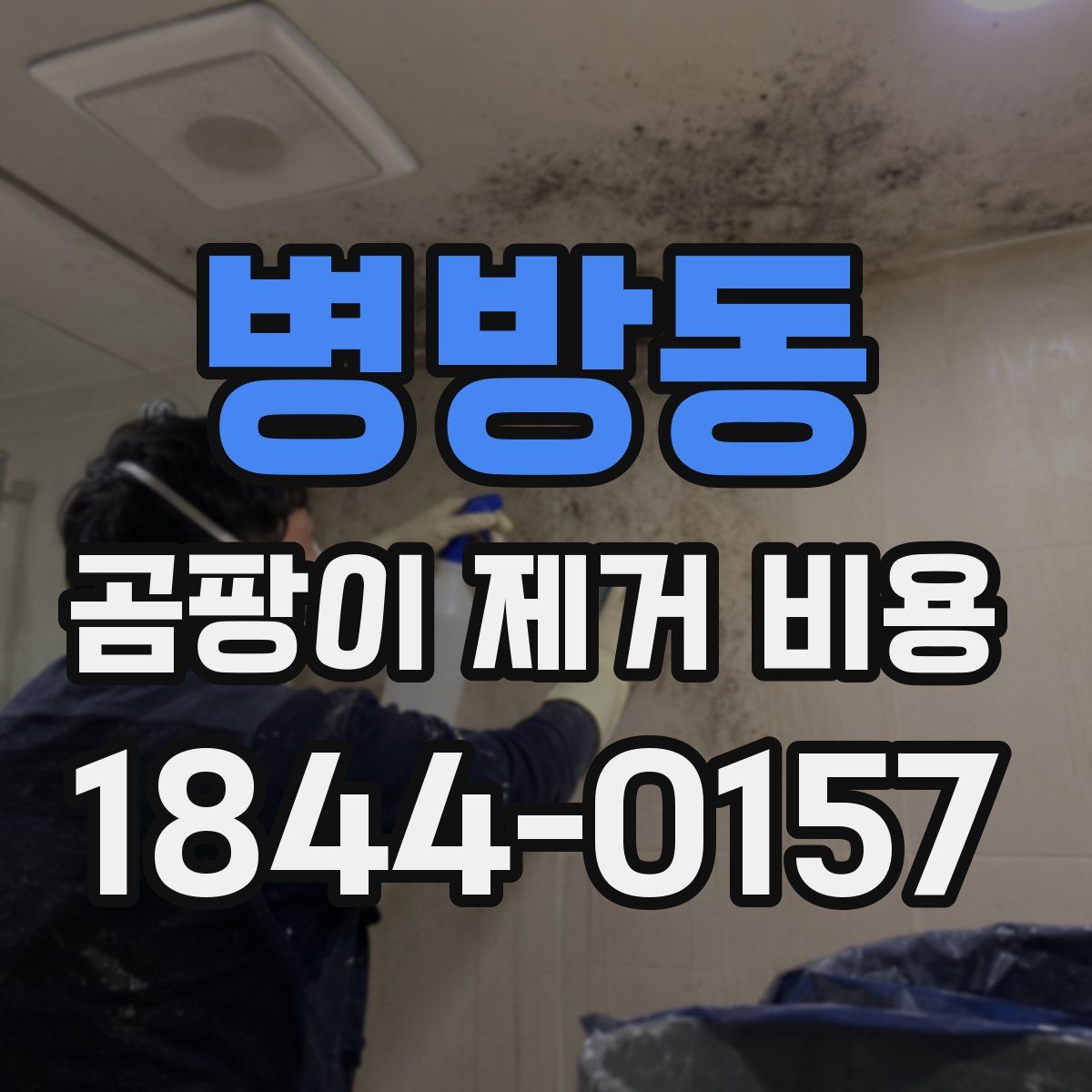 병방동 곰팡이 제거 비용