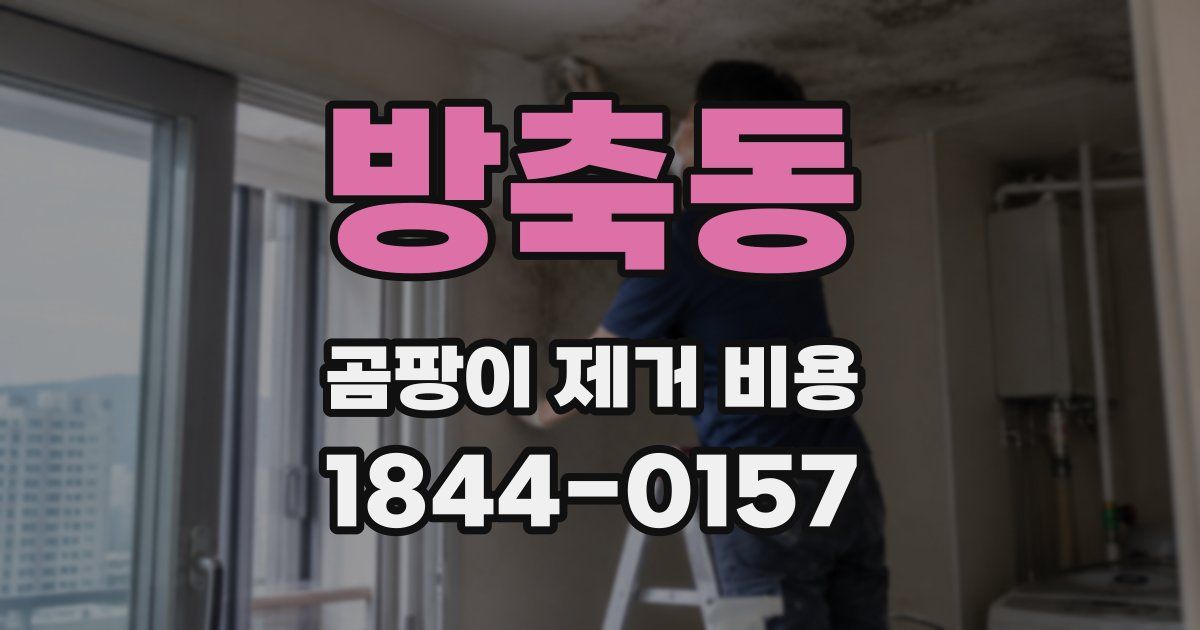 방축동 곰팡이 제거 비용