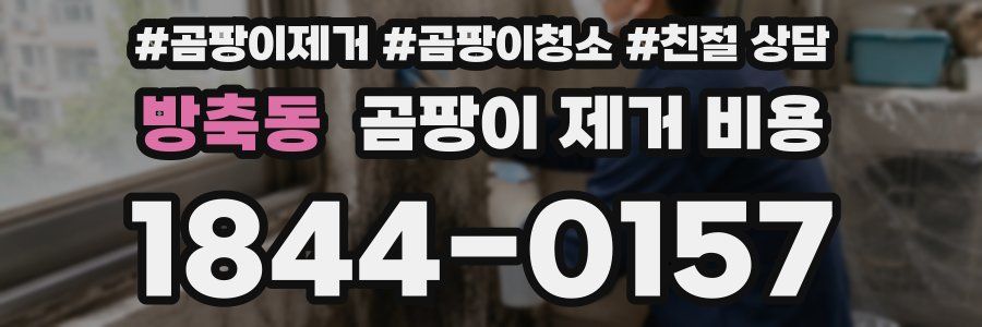 방축동 곰팡이 제거 비용