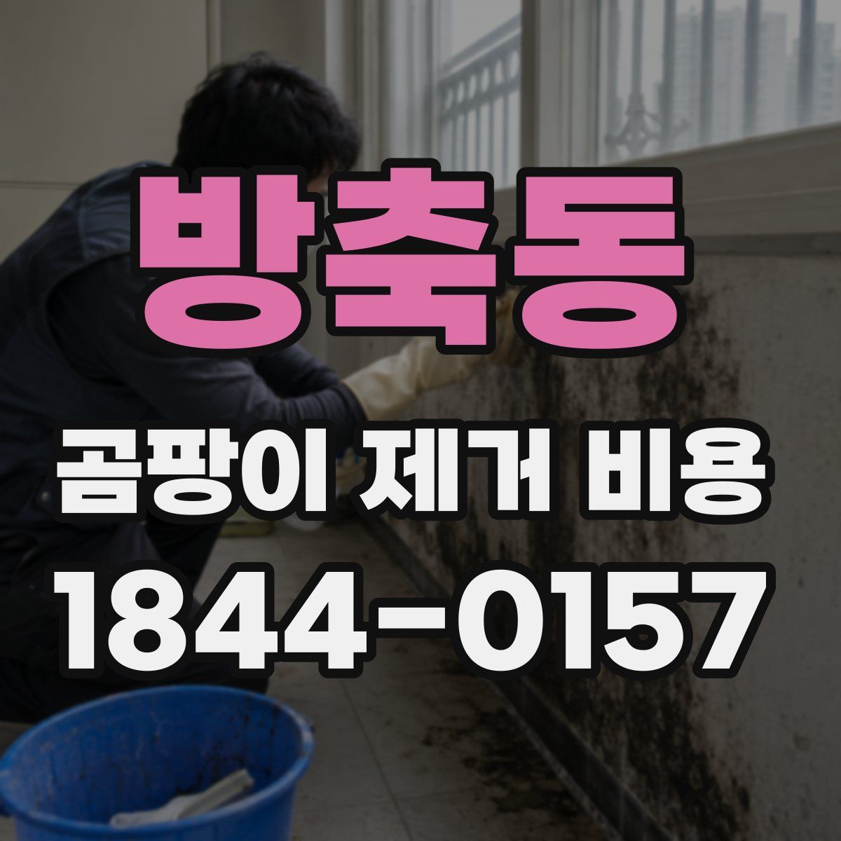 방축동 곰팡이 제거 비용