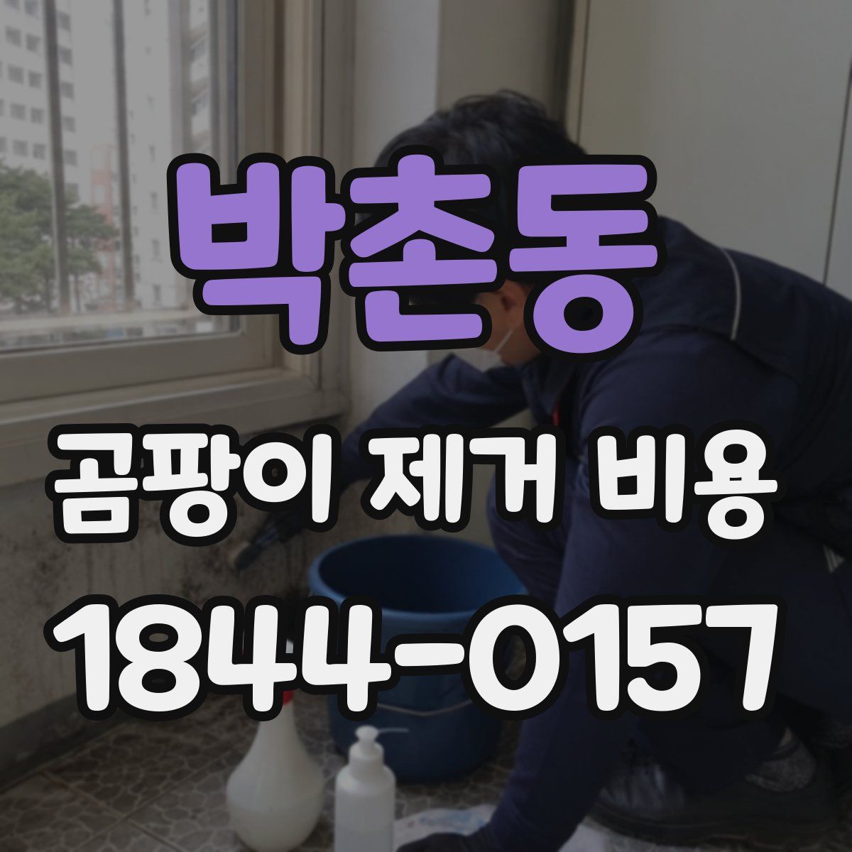 박촌동 곰팡이 제거 비용