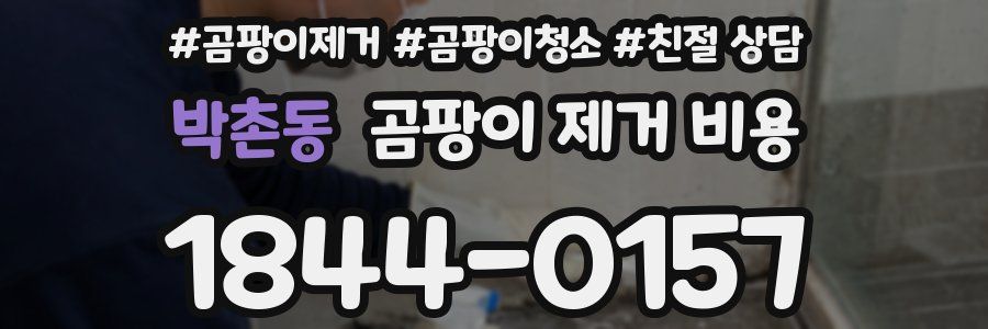 박촌동 곰팡이 제거 비용