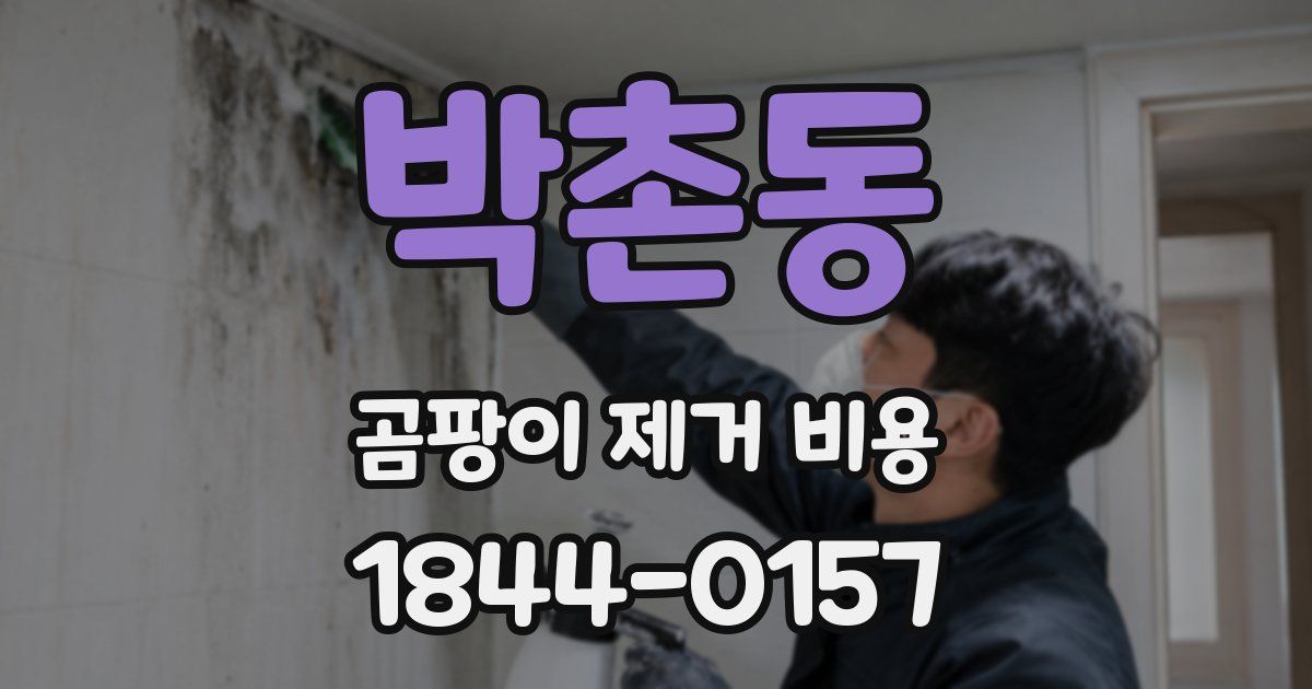 박촌동 곰팡이 제거 비용